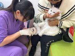 -北京观赏动物医院·24小时大型综合·猫专科·异宠专科