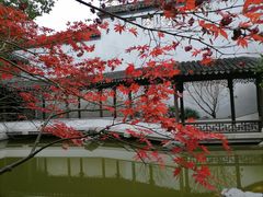 -秋霞圃