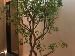 -水墨澜渟足道·SPA·传统(四望亭东关街店)