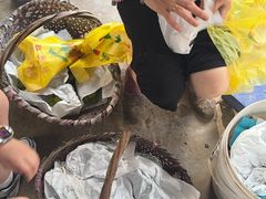 -马陆小张葡萄园农家乐