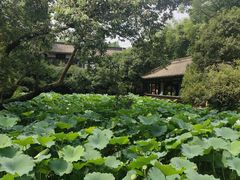 -成都武侯祠博物馆