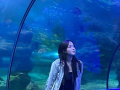 -左海海底世界