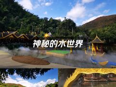 -西双版纳原始森林公园