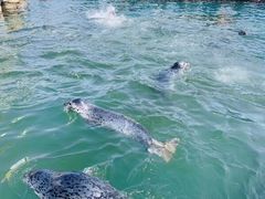 -华夏文旅海洋公园