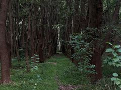 -同里国家湿地公园