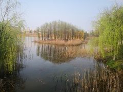 -杭州湾海上花田景区