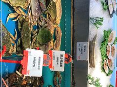 -必点海鲜·鲅鱼水饺(鞍山西道店)