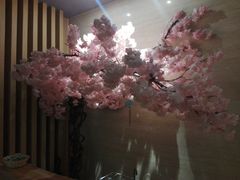 -紫· 割烹  Kappo Murasaki