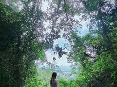 -火炉山森林公园