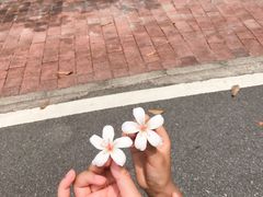 -火炉山森林公园
