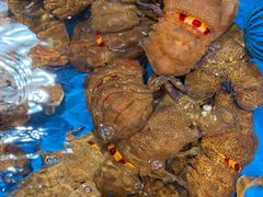 -吴记富苑(朝阳店)