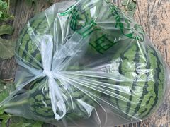 -庞各庄西瓜蔬菜采摘园·锦华瓜园