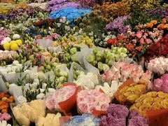 -双季花艺园艺市场(浦东店)