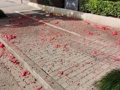 -舟山希尔顿酒店