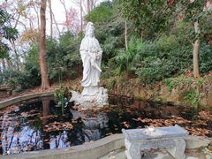 -紫金山山顶公园