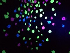 iphone_upload_pic-上海世茂广场(南京东路店)