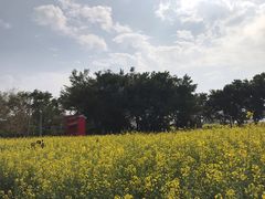 -光明小镇欢乐田园