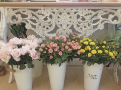 -Jo's Garden