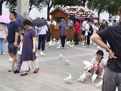 -天津妈祖文化园