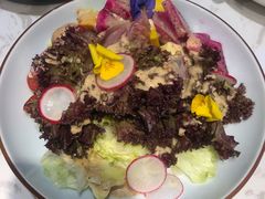 蔬菜沙拉-皖小斌·小葱伴豆腐(丰收路店)