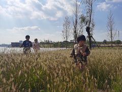 -九龙湖公园