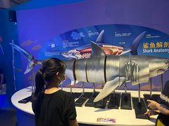 -烟台海昌鲸鲨海洋公园