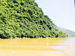 -后柳水乡