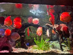 -上海海洋水族馆