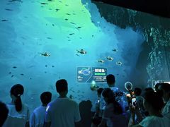 -广东科学中心