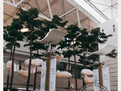 -首尔仁川机场ASIANA LOUNGE贵宾候机室(Incheon)