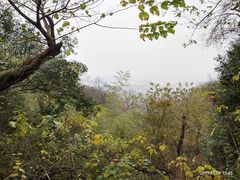 -紫金山索道-售票处