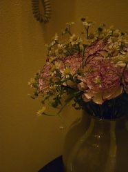 -尊尚柏丽美容SPA