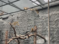 -武汉动物园