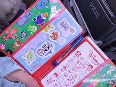 -新加坡航空公司(ION)