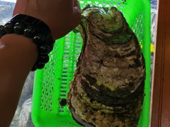 -土蚝·高压锅生蚝(百姓美食街店)