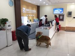 -美联众合动物医院·24h京西诊疗中心