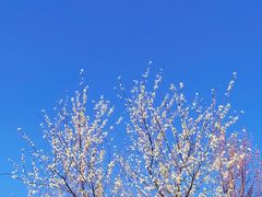 -白水寺森林公园