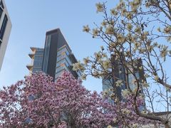 -华谊兄弟总部办公大楼