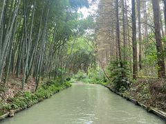 -同里国家湿地公园