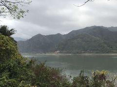 -羚羊峡古栈道森林公园