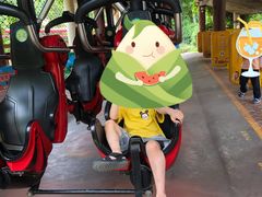 -郑州方特梦幻王国