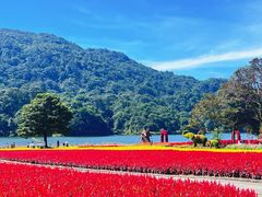 -广州市石门国家森林公园