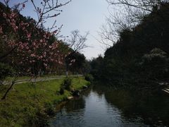 -常德桃花源景区