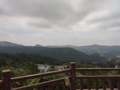 -大姆山草场