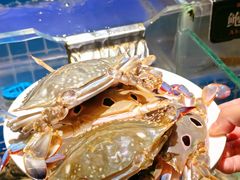 -加餐海鲜自助(集美银泰百货店)