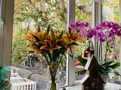 -蝶舍·MAISON PAPILLON