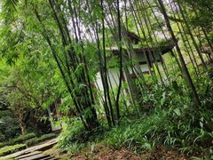 -峨眉山报国寺