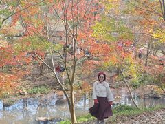 -田野绿世界