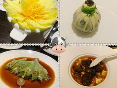 -甄御•海鲜新青岛菜(麦岛店)