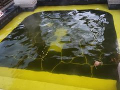 -东海森林温泉
